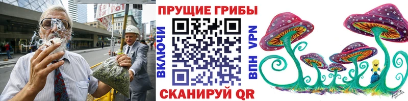 кракен зеркало  Приозерск  Псилоцибиновые грибы мицелий  купить наркоту 